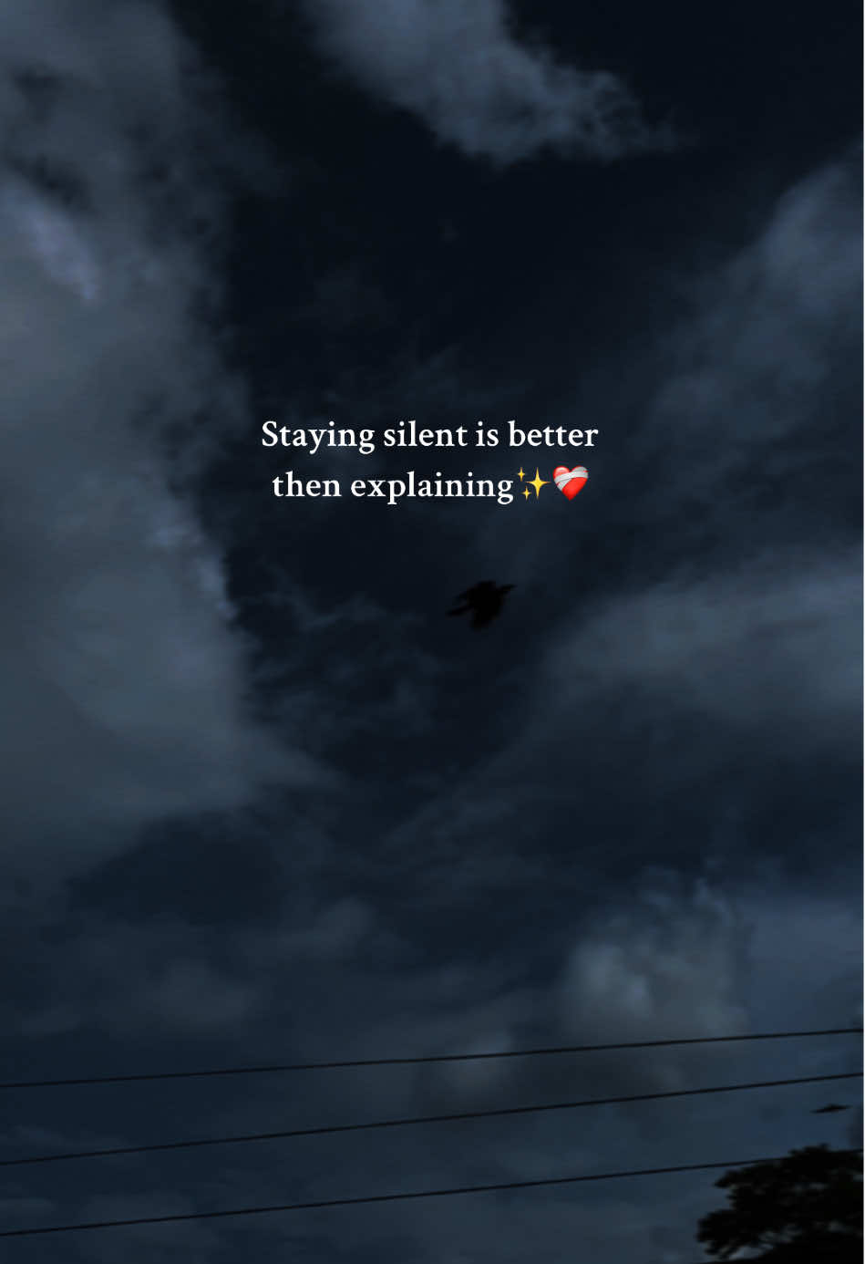 Staying silent is better then explaining✨❤️‍🩹#tiktokviral #foryou #growmyaccount✅ #foryoupage #fypシ゚viral #unfrezzmyaccount #viralvideoTikTok @TikTok @TikTok Bangladesh 