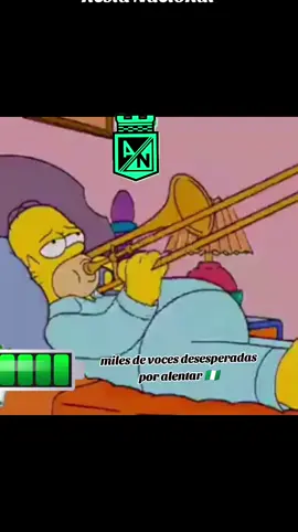 DOMINGO DE FINAL 🇳🇬🏆 #Colombia #hoyjuegaelverde #AtleticoNacional #sdvsf💚🇳🇬 #Final #copabetplay #vuelta #LosDelSur #clasicocolombiano🇨🇴 #America #campeon #domingo 