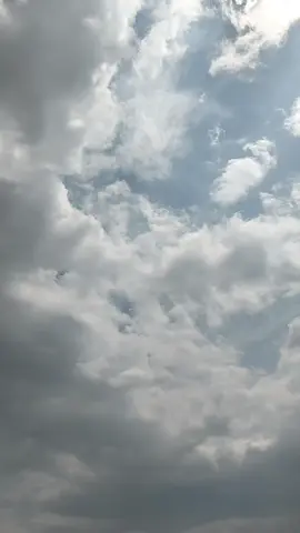 كونوا غرباء إلى الأبد، حتى لو جمعكم القدر سأتجنبكم 