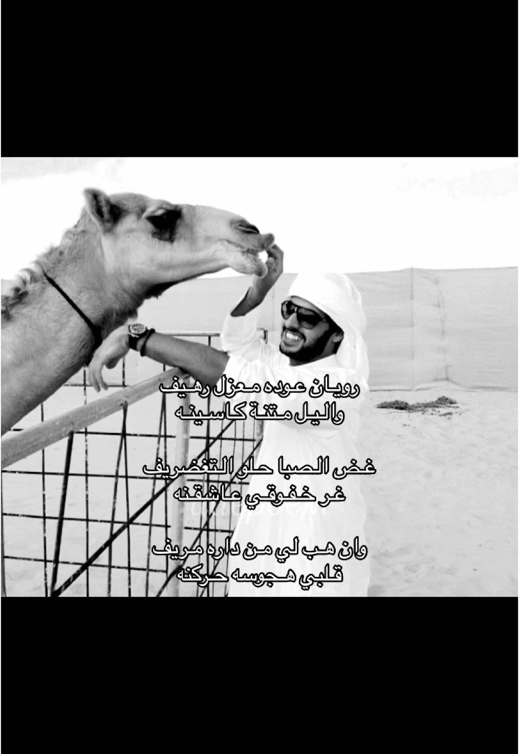 #زايد_بن_حمدان #الامارات #🌷🌷 