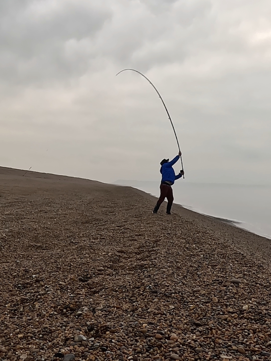 It was lovely to be back out on Chesil. We also caught plenty of fish, which is a bonus 🎥🔥#theshorehunter #fishytom #chesilbeach #chesil #ukbeachfishing #fishing #seafishing #fyp #fishingtiktoks 