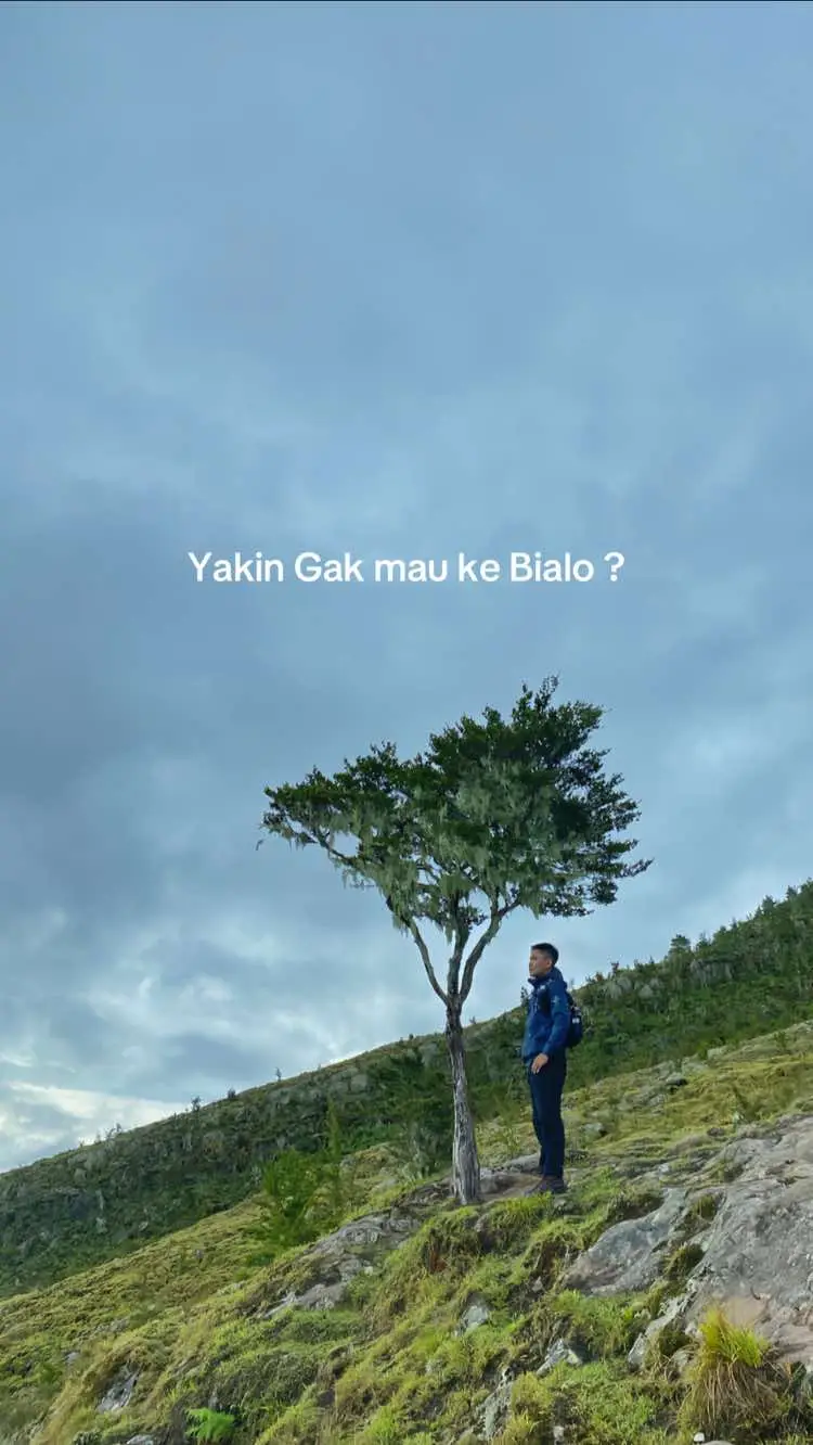 Yakin gak mau ke bialo...? #bulubialo #bialo #pendakisulsel 