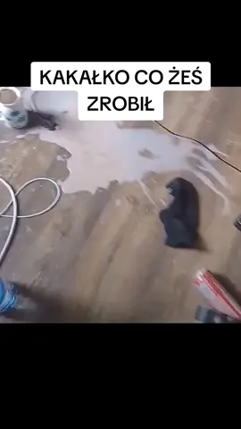 Posting polish memes daily until 10k followers  #meme #fyp #poland🇵🇱 