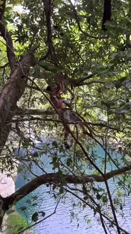 #السباحة_لعبتنا🏊 #البحر #ابوني_ياك_باطل_ولا_حنا_مانستاهلوش #fybシ #fyp #explore 