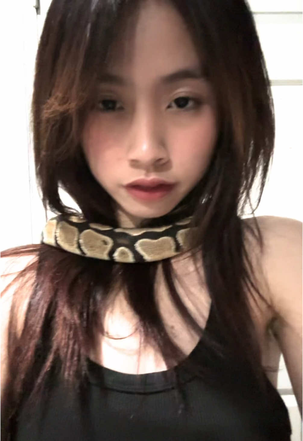 Have a snake #fyp #snake