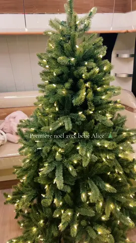 #premiernoel#avecbebe#alice 💗 