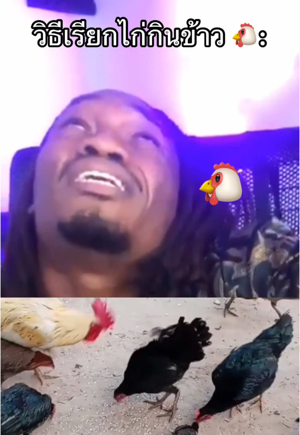 จำและนำไปใช้กันนะครับทุกคน #เลี้ยงไก่ #ภูมิปัญญาชาวบ้าน #มีม #ambatukam 