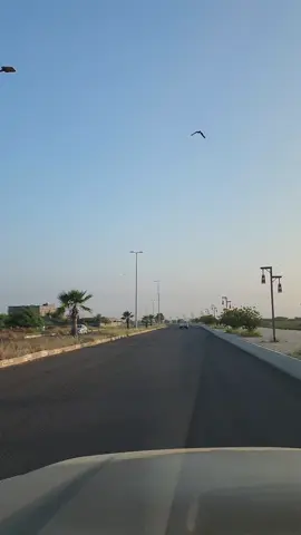 ياطير سلم على الغالي #يسعد_مساء_الغالين 