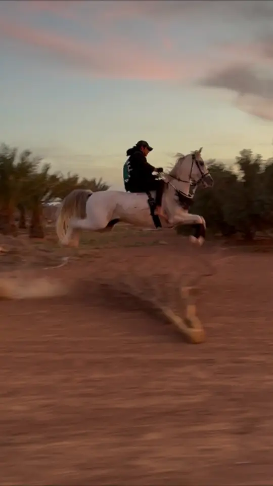 ماشاءالله #explore #رعد_الشهار #tiktok #fyp #viral 