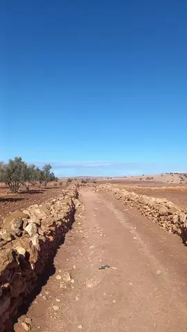 #بنت #عبدة #اسفي #🇲🇦🇲🇦🇲🇦🇲🇦🇲🇦🇲🇦مغربية 