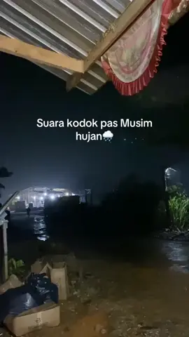 kira kira kodok jenis apa ya 😄 #xyzbca #storytime #vibesstory #fyp #random 