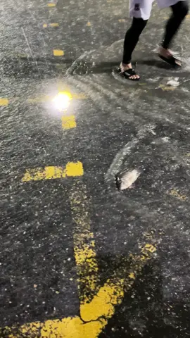 เรียบร้อย วค.คอน🤣 #วคคอน #น้ําท่วมปี67 #ท่าศาลา_นครศรีธรรมราช💖💯 #ฟีดดดシ 