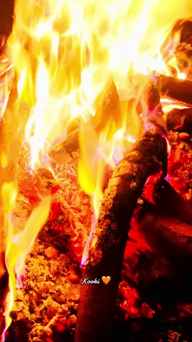 اس عشق میں ایسی آگ لگے ہو۔❤️‍🔥🔥#kooki #fypシ゚viral♥️tiktok #foryoupage #trending #song #bonefire #🔥 #❤️‍🔥 #foryou #fyp 