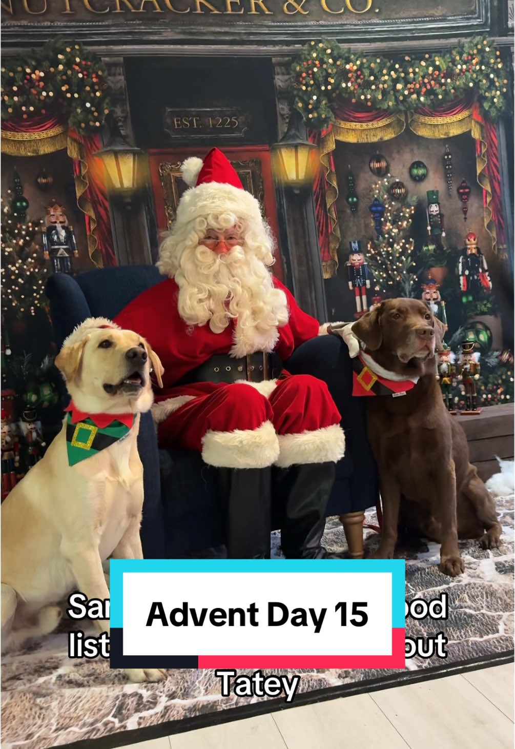 Ollie loves Santa 🥰🎅🏼 Tato… I’m not sure what he’s up to 😅