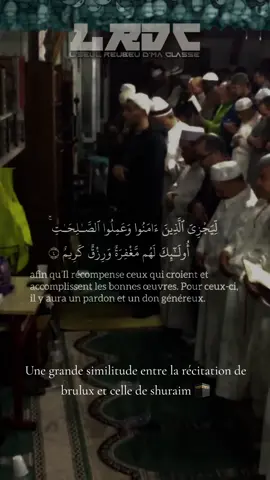 Une grande similitude entre la récitation de Brulux et de shuraim #brulux #shuraim #récitation #coran 