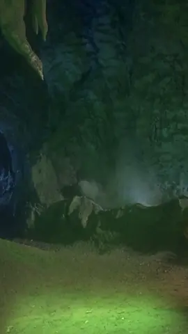 How the Grinch Stole Christmas (2000)🎄 #howthegrinchstolechristmas #grinch #jimcarrey #christmas #christmasmovies #movie #moviequotes #funmovie #comedyvideo #moviescene #filmclips #cinematok #fyp #foryoupage❤️❤️ 