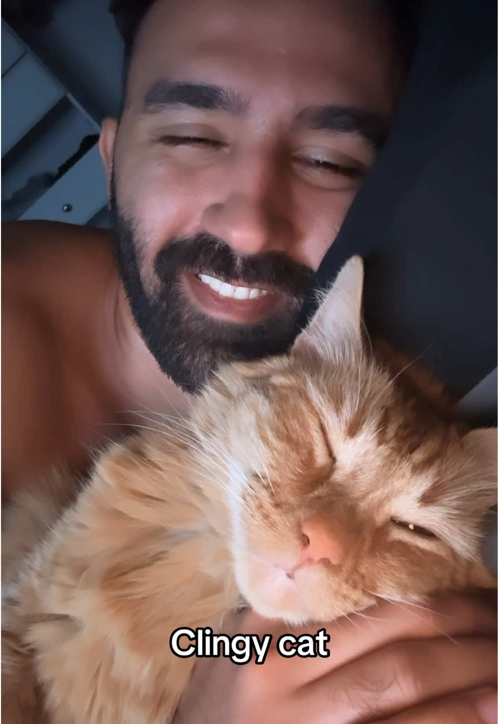 Clingy cat problems 🤭 #catlovers #clingycat #Love #cats 