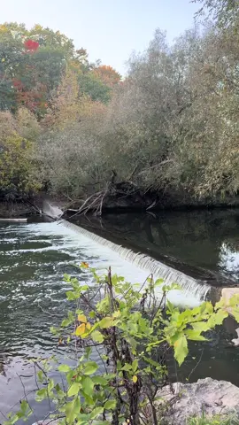 it’s as if my brain can get quiet for just a moment when i’m here