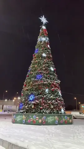 Năm 2024 sắp kết thúc .bạn còn nuối tiếc điều gì không..?#noel #radiotamtrang #taisinh #tình_yêu 🫶🏻 #storytime #cámơnđãđến❤️ #xứnguoi🇷🇺 