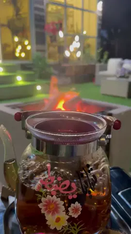 #foryou #الوضيحي #fyp #شتاء #غزال #دبي 