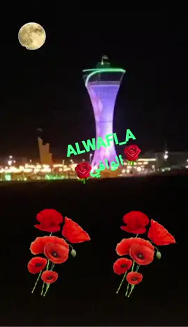 يانجوم الليل حلي ورحلي 🌿