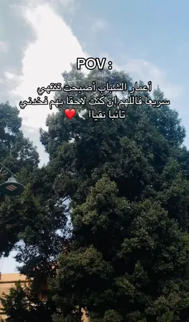 #الشيخ_طاهر_الضروي#قران #دعاء #videoviral #video 