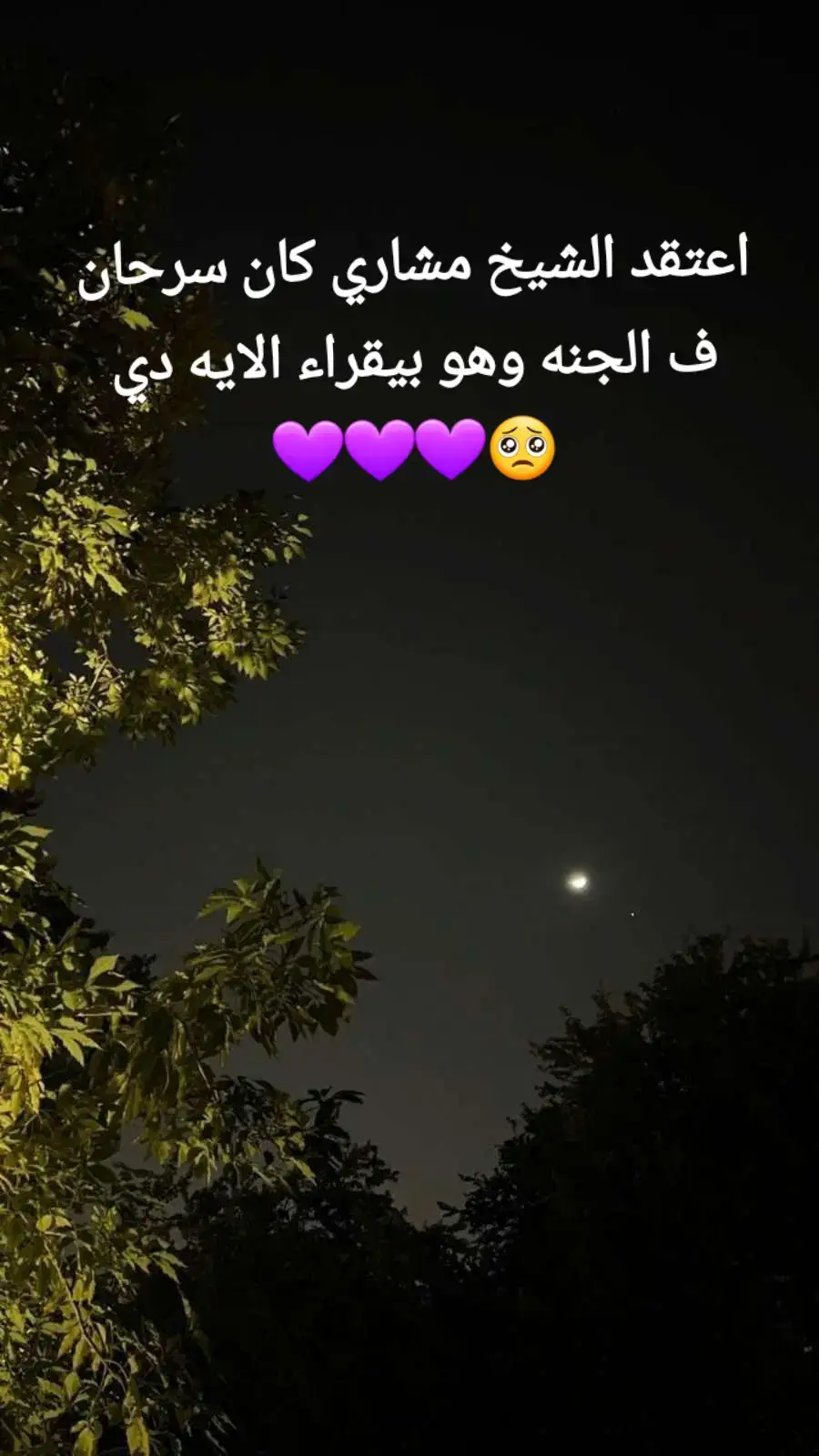 #quran_alkarim #مشاري_العفاسي  #tektokarab #a 
