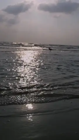 #♥️♥️♥️♥️ 