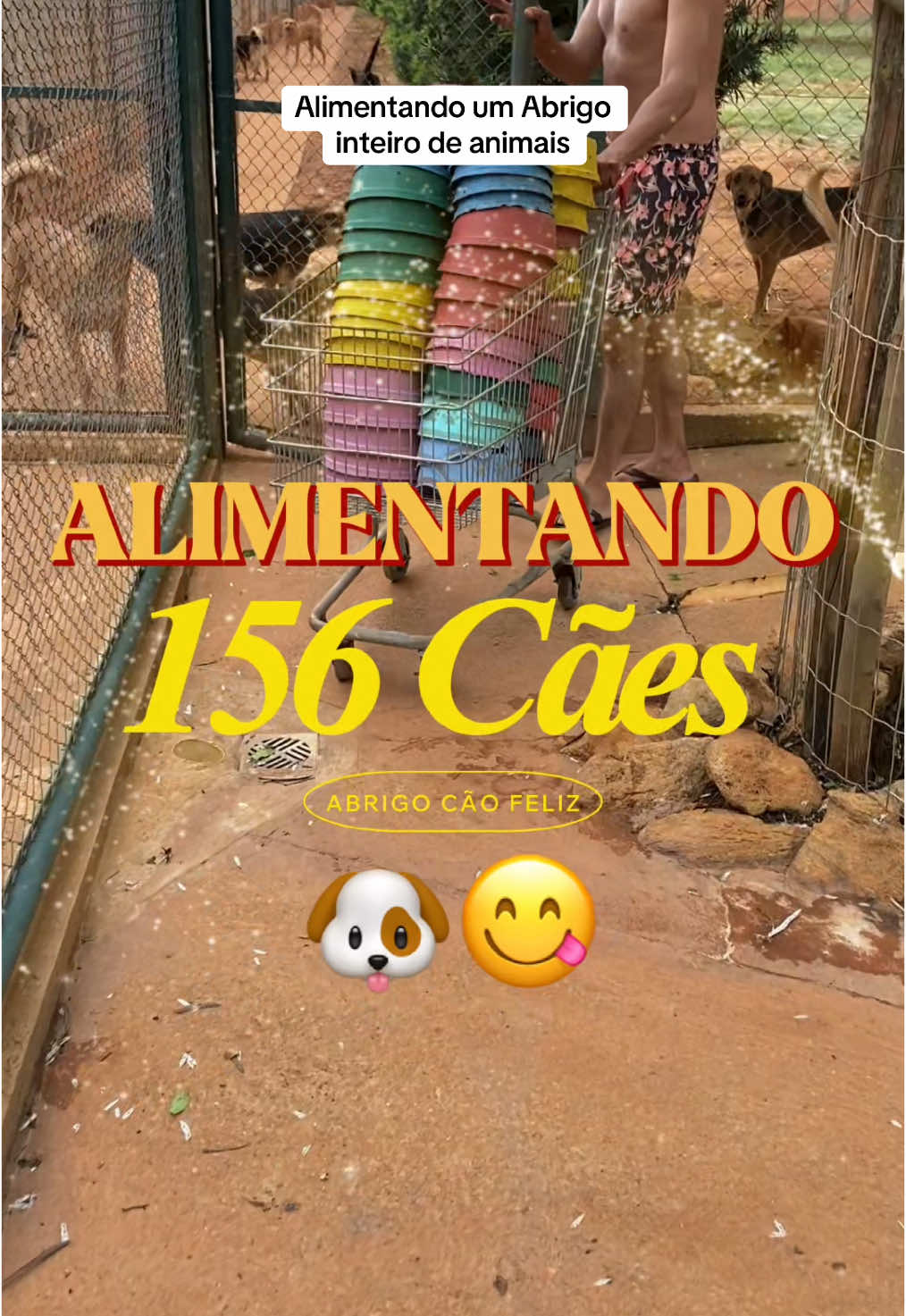 Alimentando 156 cães  #petlover  #animais  #cachorros  #alimentação  #fypシ゚viral🖤tiktok 