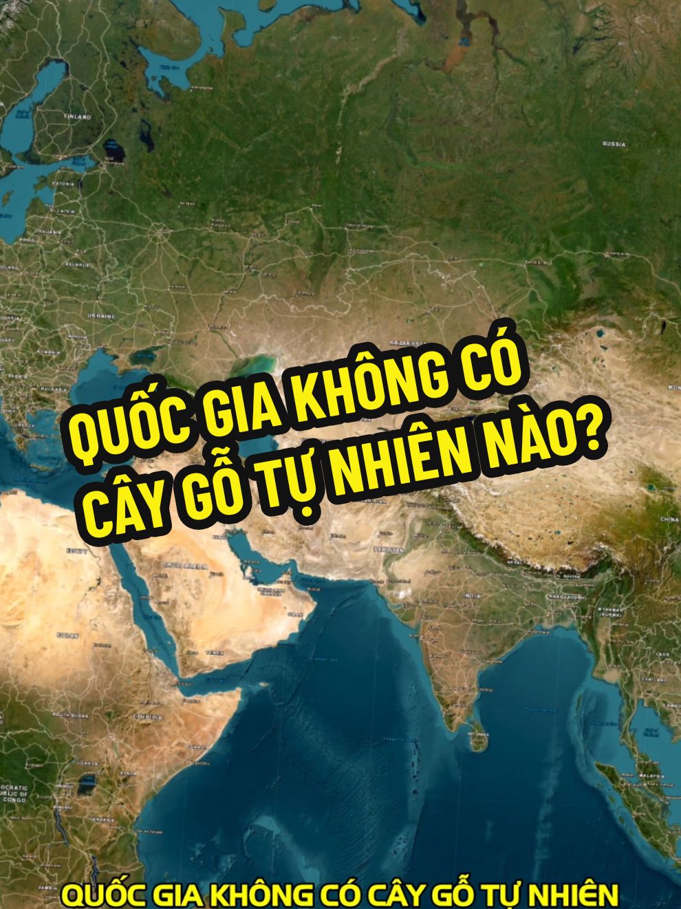 Lạ lùng với những quốc gia hầu như không có cây gỗ tự nhiên nào. Đó là Qatar, một quốc gia ở Tây Nam Á có diện tích 11.581 km2, tương đương tỉnh Thanh Hóa với khoảng 2.8 triệu dân. Tiền thì Qatar không thiếu nhưng do địa hình hầu hết là sa mạc, ngay cả bãi biển cũng là bờ biển sa mạc, nên nước này không có cây gỗ tự nhiên nào mà chỉ có một số cây xanh được con người trồng ở các công viên, còn lại là cỏ và cây bụi.  Khí hậu trái ngược với Qatar, Greenland quốc gia tự trị thuộc Vương Quốc Đan Mạch ở Bắc Mỹ rộng tới hơn 2.1 triệu km2, có vườn quốc gia rộng nhất thế giới nhưng hầu như là không có cây gỗ tự nhiên nào, mà 81% diện tích bị bao phủ bởi băng giá không thích hợp cho cây gỗ phát triển, chỉ có hoa cỏ và một ít cây bụi, cây tán thấp ở phía Tây Nam. Lãnh thổ tự trị Quần đảo Faroe thuộc Vương Quốc Đan Mạch cũng hầu như không có cây gỗ tự nhiên nào, lý do là vì khí hậu lạnh, bề mặt đất mỏng, gió biển thổi vào có chứa muối nên không thích hợp cho cây cối, nhưng cỏ thì lại phát triển tốt.