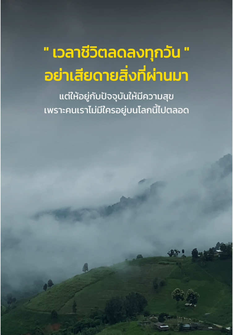 #สตอรี่ความรู้สึก #ดอกไผ่บาน#ธรรมชาติ #วิวสวย #ฮีลใจวัยทำงาน 