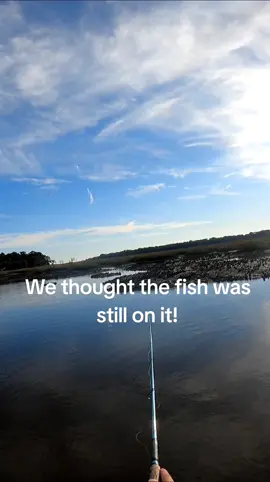 #fishtok #saltwaterfishing #foryou #fy 