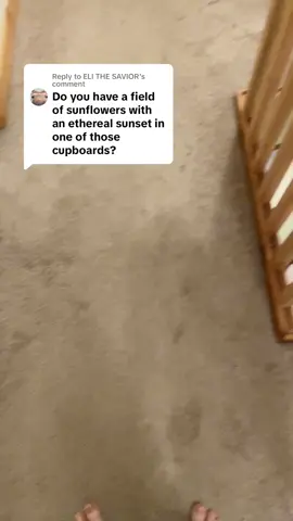 Replying to @ELI THE SAVIOR idk whats going on with my room #thursday #wednesday #tuesday #monday #sunday #saturday #friday #containment #catmold #rattlegoat  #apple  #fypシ #fyp #fypシ゚viral #fypage #fyppppppppppppppppppppppp #fypsounds 