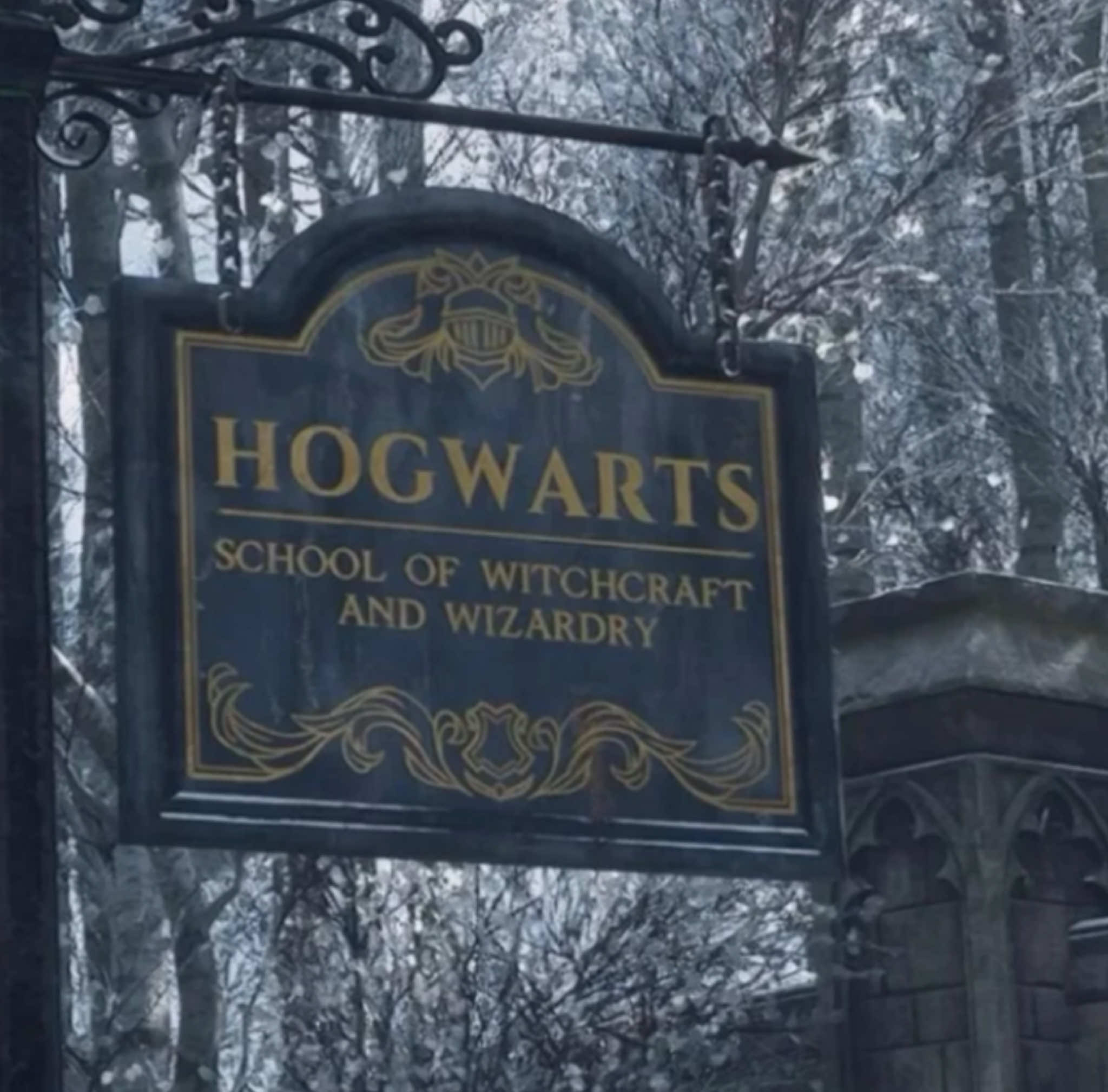 Golden Brown || scp: “Obsessions’’ yt || #harrypotter #harrypotteredit #goldenbrown #hogwarts #marauders #hogwartslegacy #harrypotteraesthetic #edit #viral #fyp #fypppppppppppppppppppppp #thestranglers #pinterest 