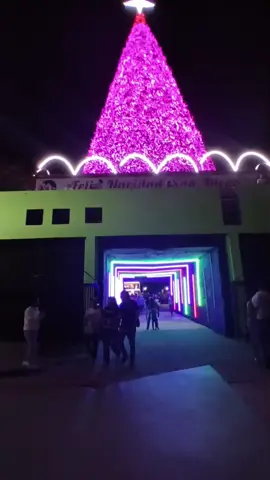 precios en el parque de luces en San Diego? #sandiego #parquedeluces #Venezuela 