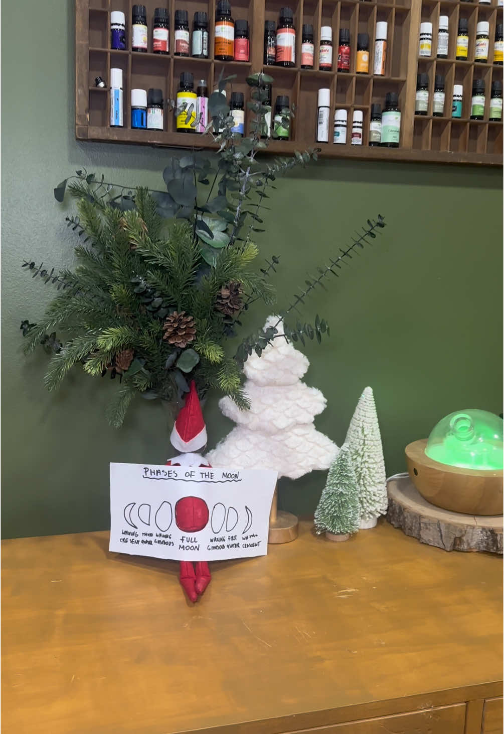 day 15th I think  🌲 #elfontheshelf #elfontheshelfideas #foryou #kids #christmas 