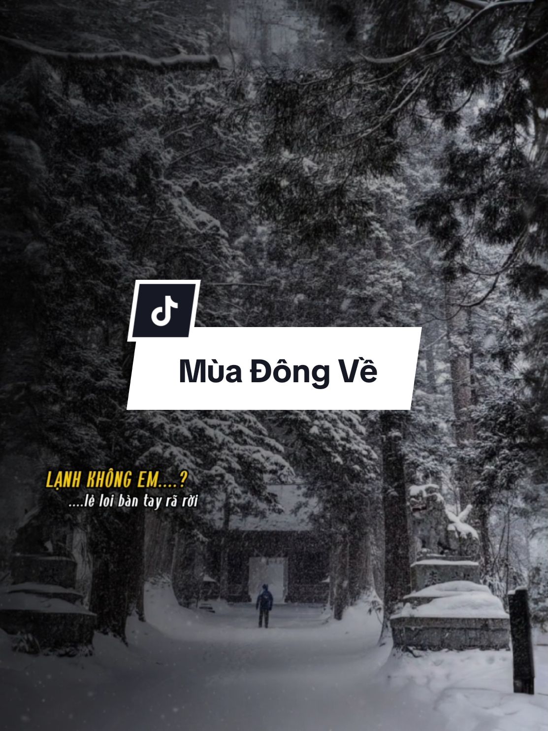 người yêu ơi mùa đông đã về rồi #nhactinhsaulang #nhaclyrics102 #bossnhac #SBTentertainment #nhacsuybuon @𝙉𝙃𝘼𝘾𝙇𝙔𝙍𝙄𝘾𝙎 