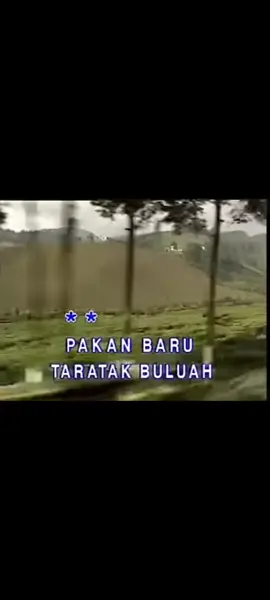 sinar riau (dendang Minang)  vocal : Elly kasim #liriklaguminang #laguminang #musikminang #dendangminang #dendangminangfyp #liriklagu #liriklaguminangrancak #soundminang #soundminangviral #sumbartiktok #tiktokminang #minangtiktok #fypminang #fypminangkabau😘😘 #fypminangviral #fyp #fypシ゚ #fyppppppppppppppppppppppp #fypシ゚viral🖤tiktok 