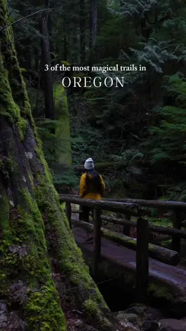 Oregon is full of magical trails ✨ These are just 3 of our favorites! All of these trails are relatively easy with stunning views and beautiful forests.  📍McKenzie River Trail, Willamette National Forest This trail is 25 miles long but there’s multiple starting points if you’re not wanting to hike the entire trail. You can see Koosah and Sahalie Falls in just 0.9 miles.  📍Wahclella Falls, Columbia River Gorge  This trail is 2 miles out and back and is possibly one of our favorite waterfalls in the Gorge. 📍Old Salmon River Trail, Mount Hood National Forest  This trail is 2.7 miles long and is a beautiful walk through an old growth forest along the Salmon River.  📌 Save for your trip to these National Forests and leave no trace when visiting!  #oregon #pnwwonderland #pnw #oregonhikes #chasingwaterfalls #mckenzieriver #columbiarivergorge #mounthood #waterfallhike @OregonsBest @Travel Oregon 