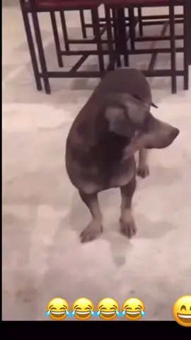 #foryoupage #foryou #fyp #viral #viralvideo #tiktok #satisfyingvideo #asmri  #TikTok - #TikTokCommunity - #TikTokFam - #TikTokDance - #TikTokComedy - #tiktokmusic * - #TikTokArt - #TikTokCreativity #TikTokDesign * - #TikTokFashion - #TikTokBeauty - #tiktoktravel * - #TikTokGaming - #TikTokGamers - #TikTokEsports * - #TikTokLearn - #TikTokEducation - #TikTokKnowledge - #SprayPainting - #StreetArt - #GraffitiArt - #UrbanArt - #MuralArt - #SprayPaintArt - #ArtWithSprayPaint - #SprayCanArt - #SprayPaintingInspiration - #SprayPaintingIdeas - #SprayPaintingDesigns - #SprayPaintingPatterns - #SprayPaintingColors - #SprayPaintingEffects #SprayPaintingTips - #SprayPaintingTricks - #AbstractSprayPainting - #GeometricSprayPainting - #PortraitSprayPainting - #LandscapeSprayPainting - #PopArtSprayPainting - #SurrealistSprayPainting - #SprayPaintingOnWood - #SprayPaintingOnCanvas - #SprayPaintingOnWalls - #SprayPaintingOnFurniture - #SprayPaintingOnShoes - #SprayPainting - #StreetArt - #GraffitiArt- #UrbanArt- #MuralArt - #SprayPaintArt - #ArtWithSprayPaint - #SprayCanArt#SprayPaintingInspiration #SprayPaintingIdeas - #SprayPaintingDesigns - #SprayPaintingPatterns #SprayPainting Colors - #SprayPaintingEffects #SprayPaintingTips - #SprayPaintingTricks - #AbstractSprayPainting #GeometricSprayPainting - #PortraitSprayPainting - #LandscapeSprayPainting - #PopArtSprayPainting - #SurrealistSprayPainting #SprayPaintingOnWood - #SprayPaintingOnCanvas - #SprayPaintingOnWalls - #SprayPaintingOnFurniture - #SprayPaintingOnSh - #UK- #British， #UKLife, #British - #Germany - #German, #Germany #German - #Italy - #Italian, #ItalyLife, #Itali - #Spain - #Spanish, #SpainLife, #Spani - #USA -#USALife, #American - #Canada - #Canadian, #Canada - #Mexico - - #Brazil - #Brazilian, #BrazilLife, #BrazilianCulture - #Argentina - #Argentine, #ArgentinaLife, #ArgentineCulture - #Chile - #Chilean, #ChileLife, #C - #SouthAfrica - #SouthAfrican, #SouthAfricaLife, #SouthAfricanCulture - #Nigeria - - #Egypt - - #Australia - #Australian, #AustraliaLife, #AustralianCulture - #Newzealand - #Newzealand, #NewzealandLife, #NewzealandCulture- #ASMR - #Relaxation - #CalmingSounds - #Whispering - #Tapping #PersonalAttention - #RolePlay - #Triggers - #SleepAid views #PageTurning- #PenTapping- #HairBrushi #Crinklin-- #FYP-#ForYouPage-#Viral - #Trending - #Challenge - #Dance - #LipSync - #Comedy - #Entertainment - #Funny - #ViralDance - #TikTokFamous.   #Going Viral - #TrendingNow - #ViralChallenge - #InstantRegret - #SatisfyingVideos - #LifeHacks - - #ASMR #AutonomousSensoryMeridianResponse - #Relaxation - #CalmingSounds - #Whispering - #Tapping - #Triggers - #SleepAid - #TappingSounds #CrinklingSounds - #WhisperingSounds - #PageTurning - #PenTapping - #HairBrushing - #NailTapping - #HandMovements - #FingerTapping - #LipMovements - #EyeContact #FacialExpressions - #MakeupApplication - #PersonalShopping - #SpaDay - #Triggers - #SoundTriggers - #VisualTriggers - #TactileTrigger - #PersonalAttentionTriggers * - #Relaxing - #Calming - #Soothing - #Sleepy - #Chill - #ASMRCommunity - #ASMRFamily - #ASMRSupport - #ASMRLove - #ASMRFriends -