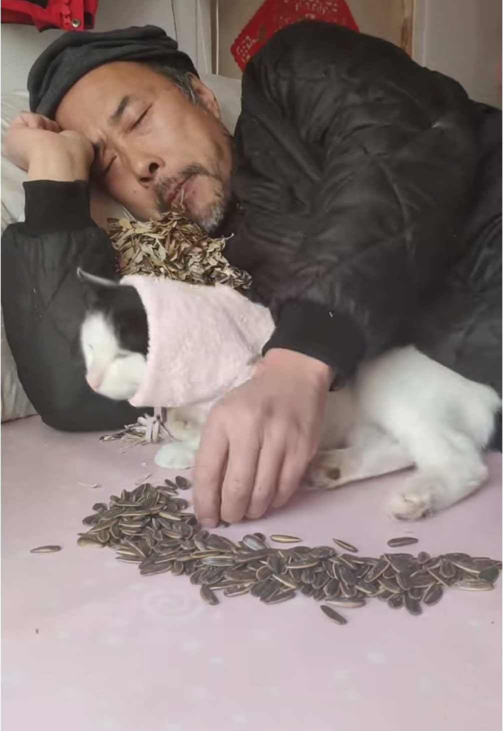 ada yang kaya gini ga?😆 #chachacha #kuacikupas #viralvideo #biraltiktok 