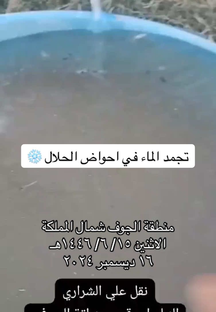 #برد #شتاء #الجوف#ثلج #fypシ #مقطع_متداول 