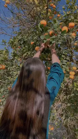 ❤️🫣#بھکر_والے #foryou #foryoupage❤️❤️ #ilu #ilu #standwithkashmir #bhakkar_city #goviral #bhakkargirl #sports #bhakkar #saraiki 