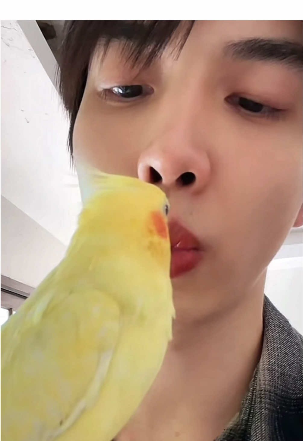 ล่าสุดอยากเป็นนกละ555555 #maxky_rp #แม็กกี้บาส #maxkybas #โจฮันนอร์ธ #เพราะรักนําทาง #foureveryouproject #นก #สัตว์เลี้ยงtiktok #สัตว์โลกน่ารัก 