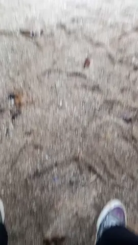 ANJANI surf & yoga lodge . #mural #wallpainting #art #streetart #surf #yoga #homestay #hotel #hostel #kuta #mandalika