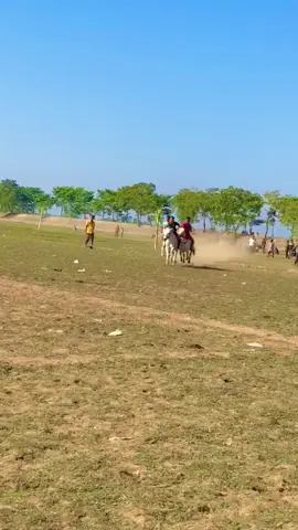 গ্রাম বাংলার ঘোড়া#tiktok #tikforyou #fypシ #vira #horse #horses #horsevideo #bighorse #horsesong #horselife #horselover #cutehorse #beautifulhorse @Samim_Siddiki  @M R Mamun  @@rakibulislam 