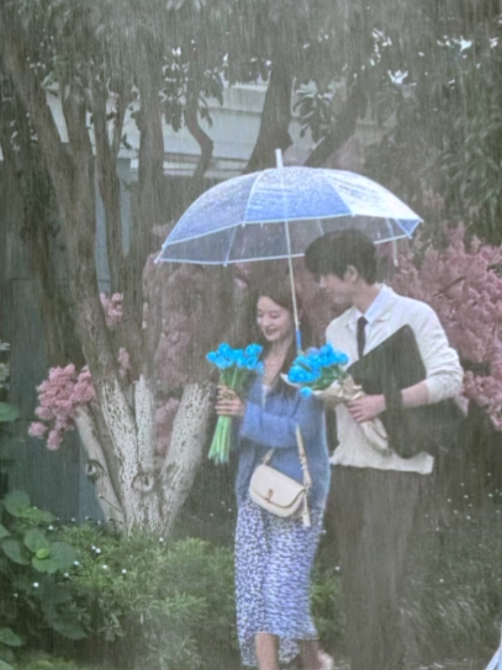 semoga tayangnya beneran awal 2025, gak sabar ketemu he suye, shen xifan #thebestthing #zhanglinghe #xuruohan #cdrama #chinese #fyp #fypシ 