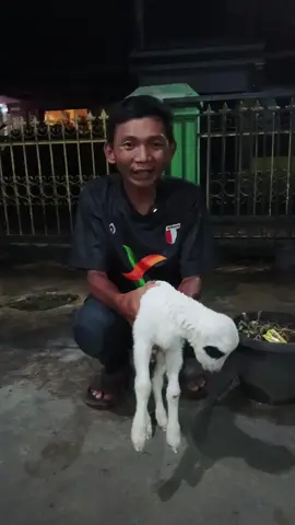 #fbpro #opikhidayat #komenbebasapasaja #opik #fyp #viral #OpikKomedi #OpikHidayat #mntvv #madevv #mantavv 