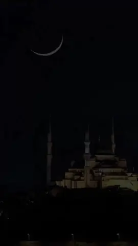 جانم فدایت یا رسول الله (ص)#qurankarim786 #لاالاه_الا_الله_محمد_رسول_الله #سبحان_الله_وبحمده_سبحان_الله_العظيم #اسلام #fyp #foryou 