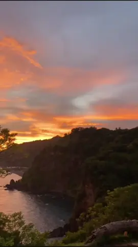 Respect to the Queen! Bo Gogo, the name that commands attention🌎😍#momo #f #amapiano #4you #followers➕ #BTS_AMAPIANO #foryoupage❤️❤️ #privateschool #fyp #kelvinmomo #amapholas #Tracy #thatohatsi #sama28 #soulfulamapiano #fouryou 